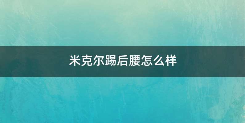 米克尔踢后腰怎么样