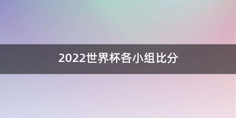 2022世界杯各小组比分