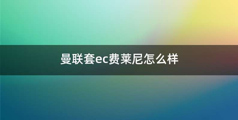 曼联套ec费莱尼怎么样