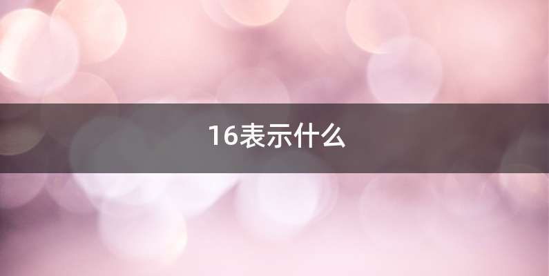 16表示什么