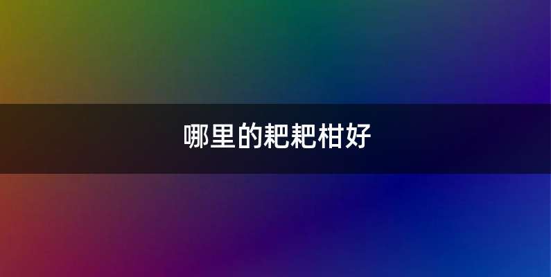 哪里的耙耙柑好