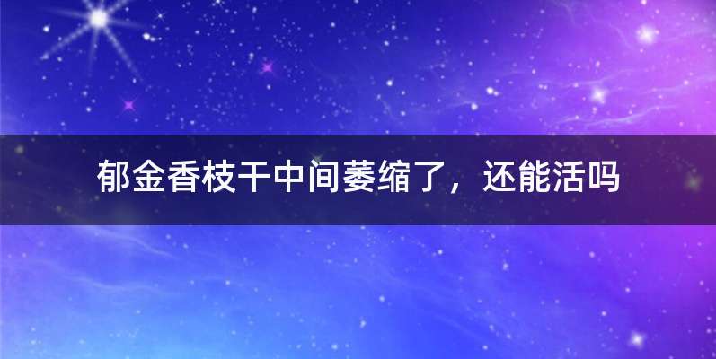 郁金香枝干中间萎缩了，还能活吗