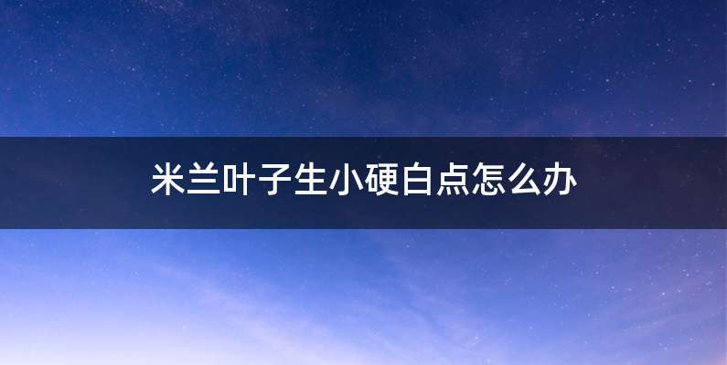 米兰叶子生小硬白点怎么办