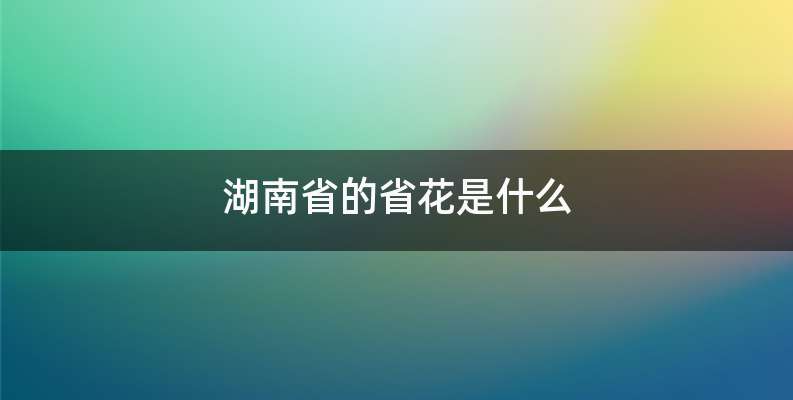 湖南省的省花是什么