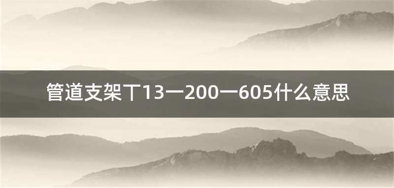 管道支架丅13一200一605什么意思