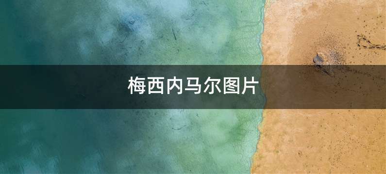 梅西内马尔图片