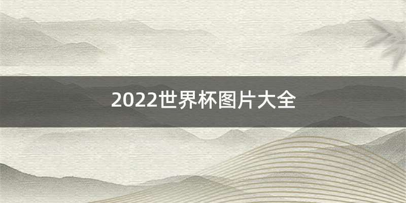 2022世界杯图片大全