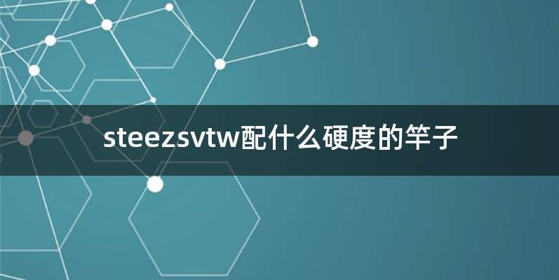 steezsvtw配什么硬度的竿子