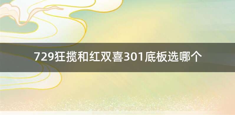 729狂揽和红双喜301底板选哪个