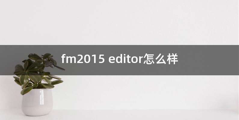fm2015 editor怎么样
