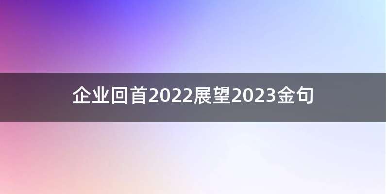 企业回首2022展望2023金句