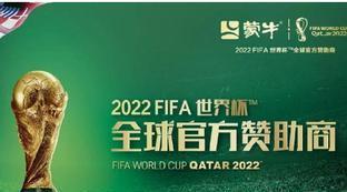 2022世界杯吗