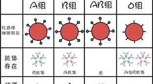 梅西O型血