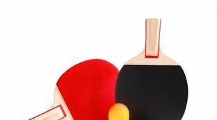 德国乒乓球拍品牌排行前十