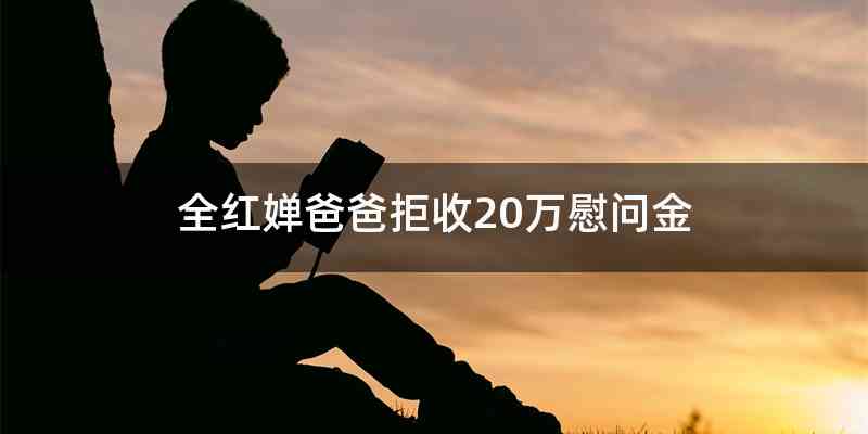 全红婵爸爸拒收20万慰问金