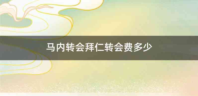 马内转会拜仁转会费多少