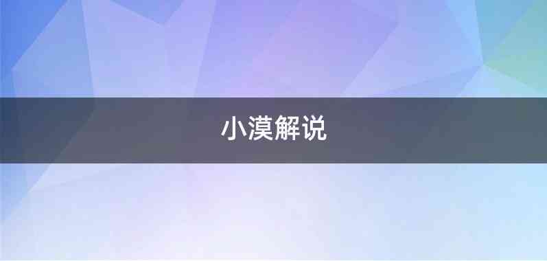 小漠解说