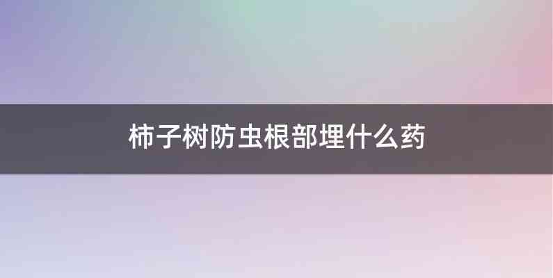 柿子树防虫根部埋什么药