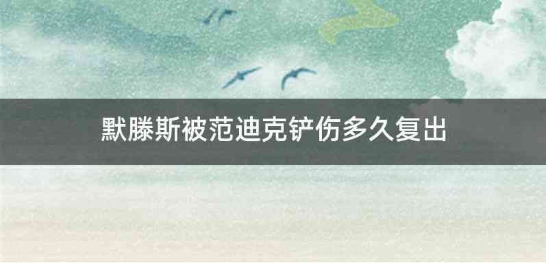 默滕斯被范迪克铲伤多久复出