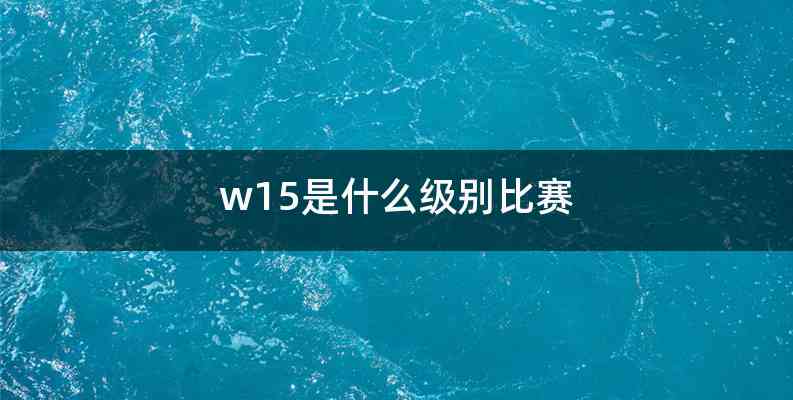 w15是什么级别比赛