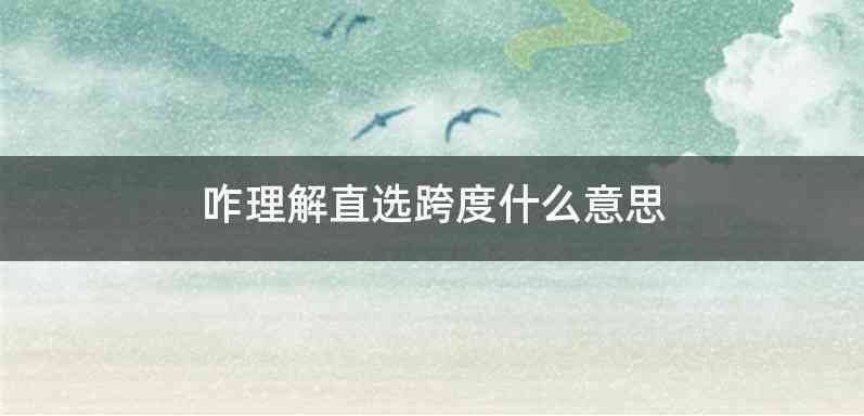 咋理解直选跨度什么意思