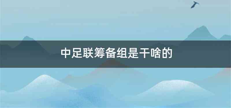 中足联筹备组是干啥的