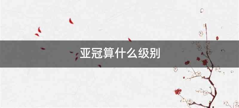 亚冠算什么级别