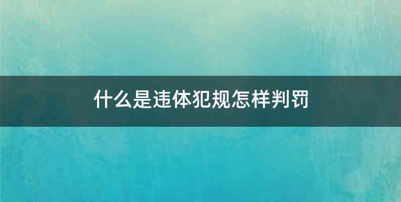 什么是违体犯规怎样判罚