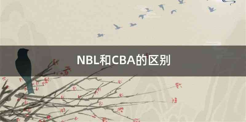 NBL和CBA的区别