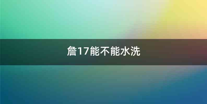 詹17能不能水洗