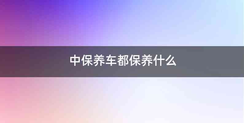 中保养车都保养什么