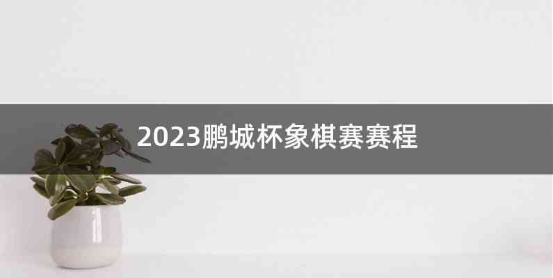 2023鹏城杯象棋赛赛程