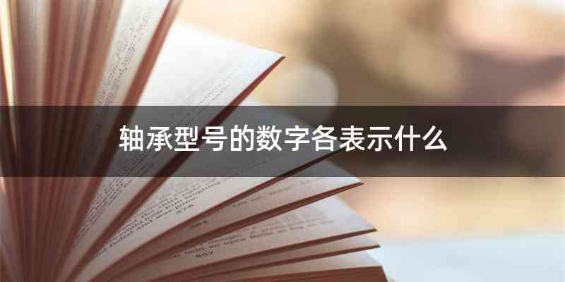 轴承型号的数字各表示什么