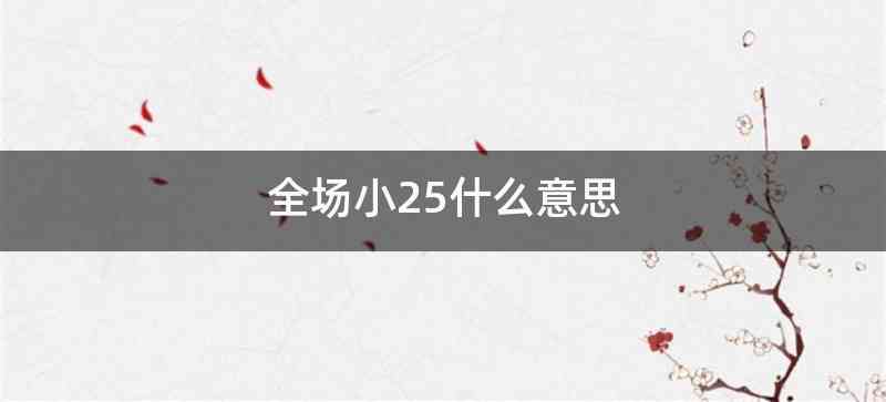 全场小25什么意思