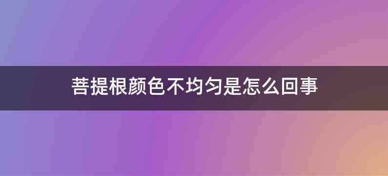 菩提根颜色不均匀是怎么回事