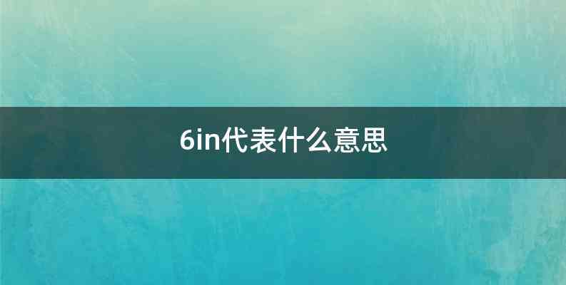 6in代表什么意思