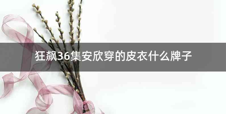 狂飙36集安欣穿的皮衣什么牌子