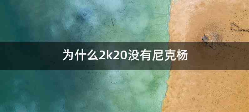 为什么2k20没有尼克杨