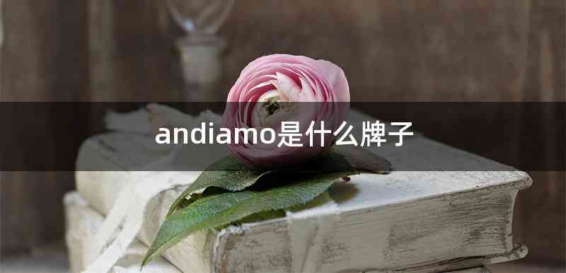 andiamo是什么牌子