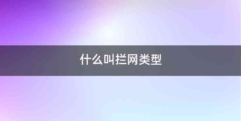 什么叫拦网类型