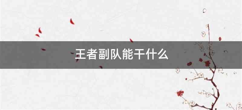 王者副队能干什么