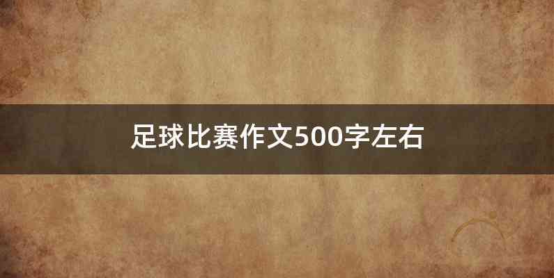 足球比赛作文500字左右