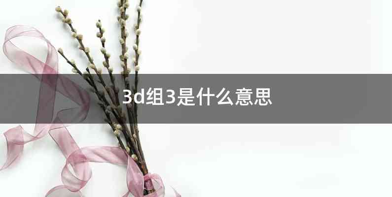 3d组3是什么意思