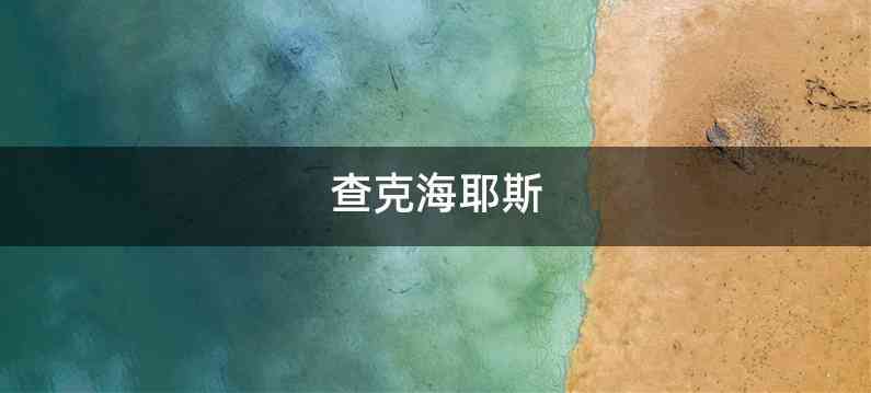 查克海耶斯