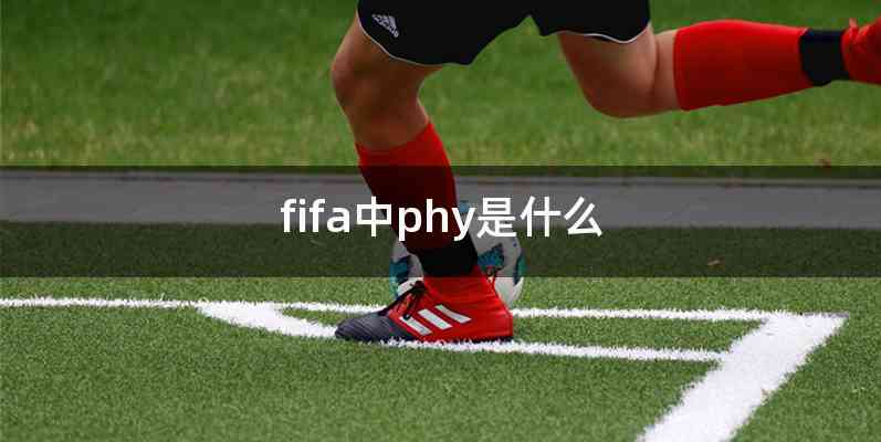 fifa中phy是什么