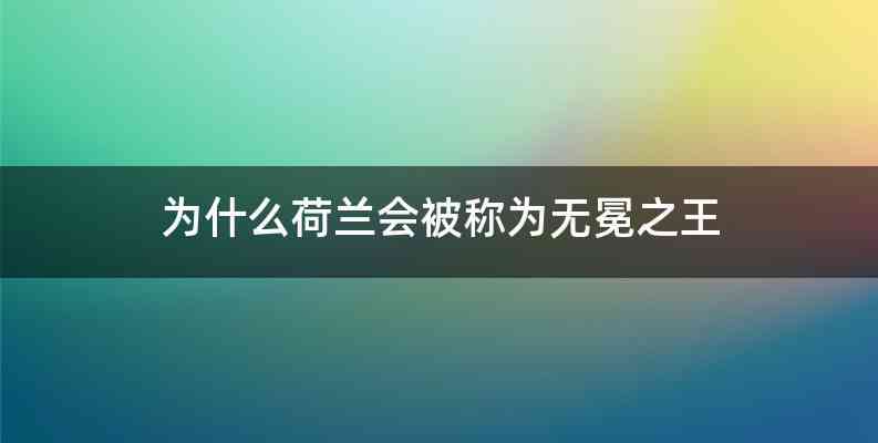 为什么荷兰会被称为无冕之王