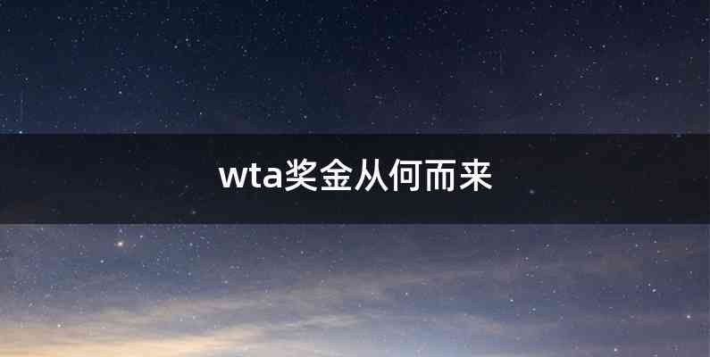 wta奖金从何而来