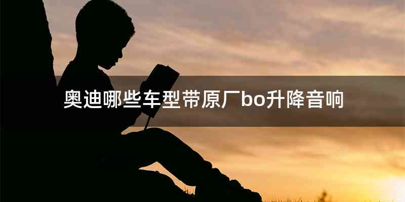 奥迪哪些车型带原厂bo升降音响