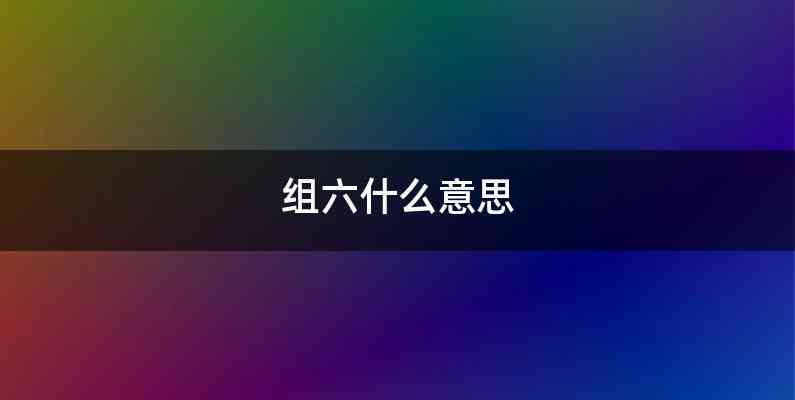 组六什么意思