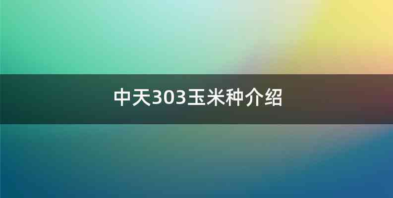 中天303玉米种介绍